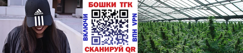 Купить закладку Адыгейск Кокаин АМФ СК ГАШ Меф мяу мяу Марихуана