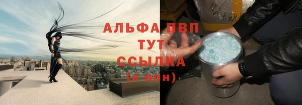спиды Новодвинск