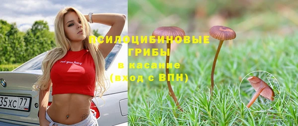 прущая мука Новозыбков